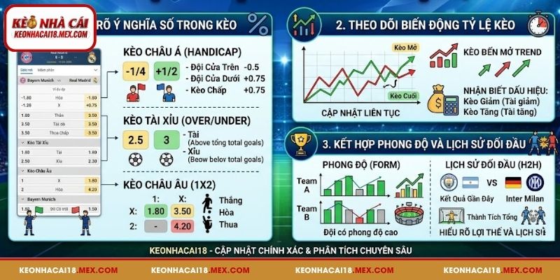 Cách đọc kèo Cúp C1 dễ dàng, đạt hiệu quả cao