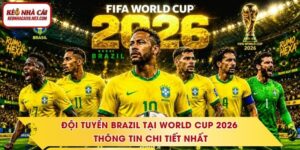 Đội Tuyển Brazil Tại World Cup 2026 - Thông Tin Chi Tiết Nhất