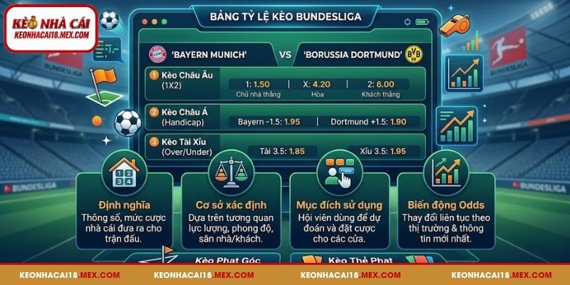 Hiểu rõ về tỷ lệ kèo Bundesliga trong bóng đá