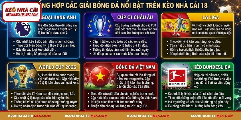 Tổng hợp các giải bóng đá nổi bật trên Kèo Nhà Cái 18