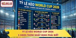 Tỷ Lệ Kèo World Cup 2026 - 3 Odds Thơm Nhất Định Phải Biết