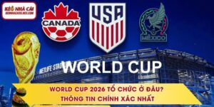 World Cup 2026 Tổ Chức Ở Đâu? Thông Tin Chính Xác Nhất